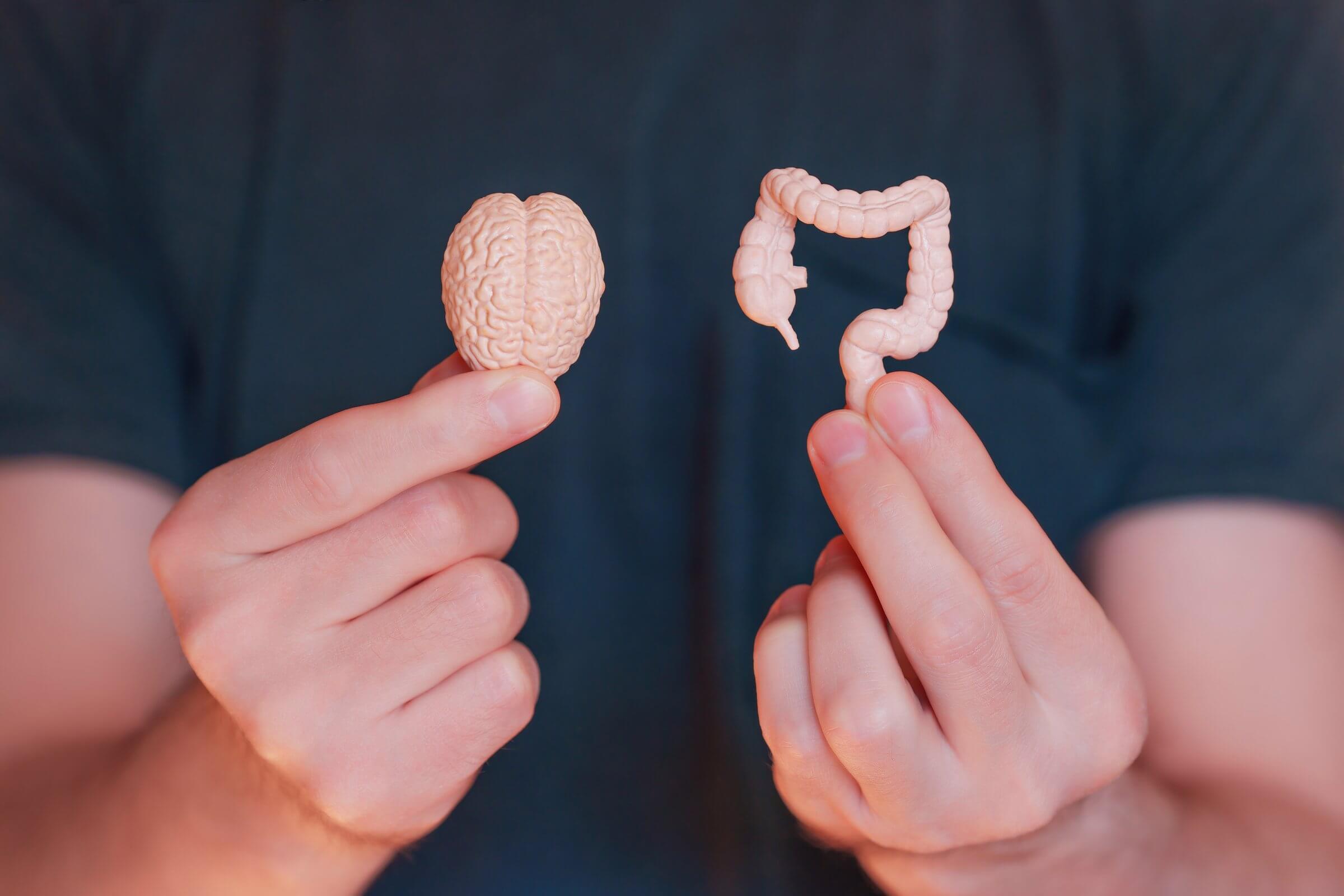 How Stress Impacts Weight Loss and Nutrient Absorption – Celebrate Vitamins