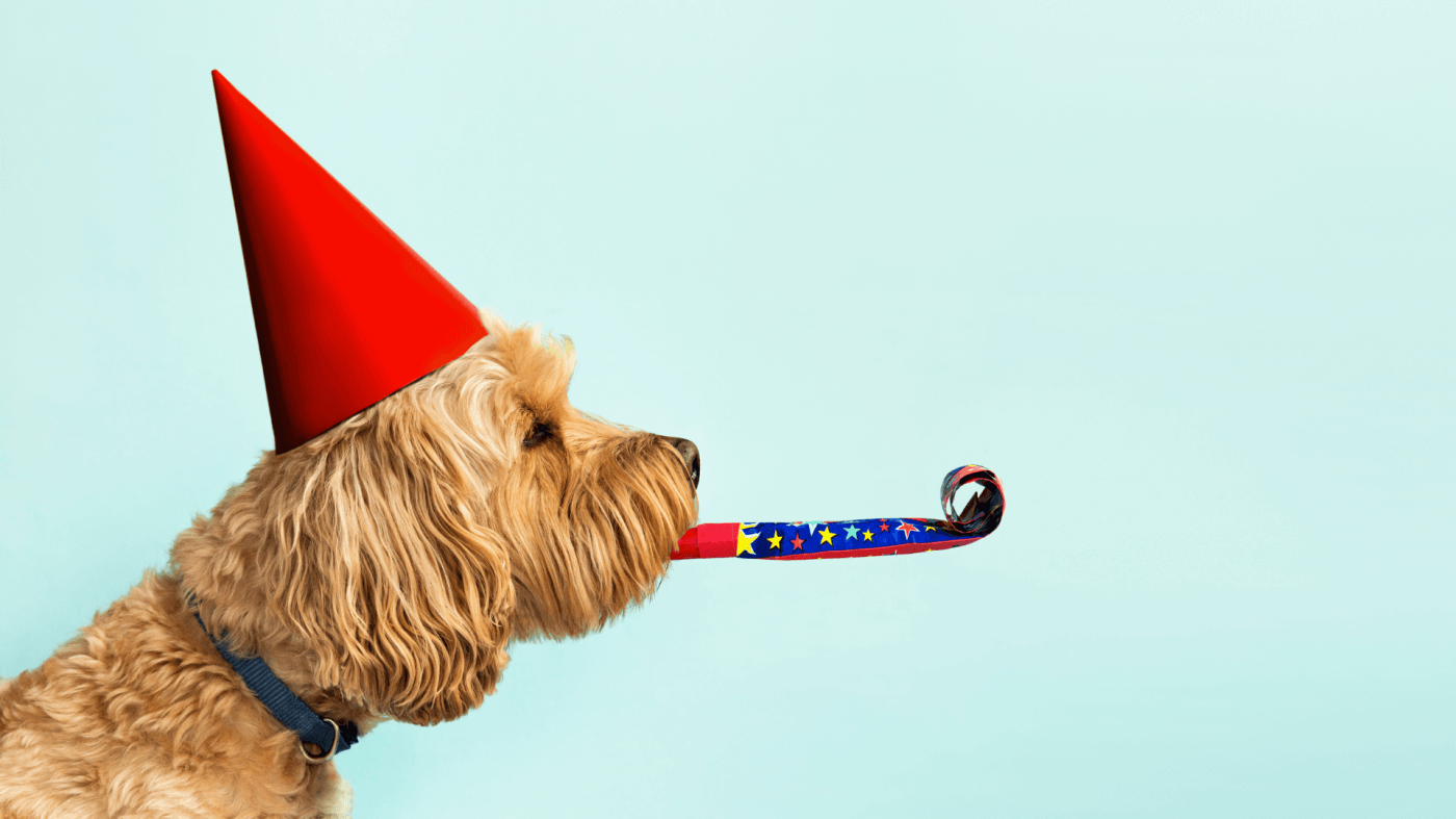 Why you should feature pet products at your next event?