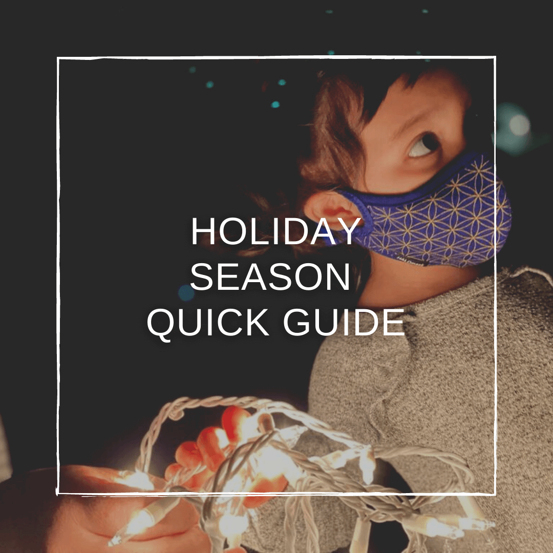 Quick Guide: Navigating the Holiday Season 2020