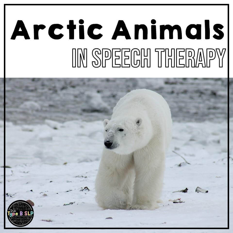 Arctic Animals Theme in Speech Therapy