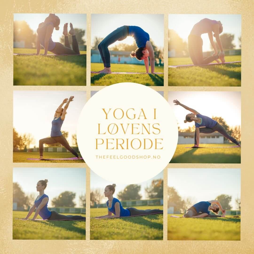 løven yoga