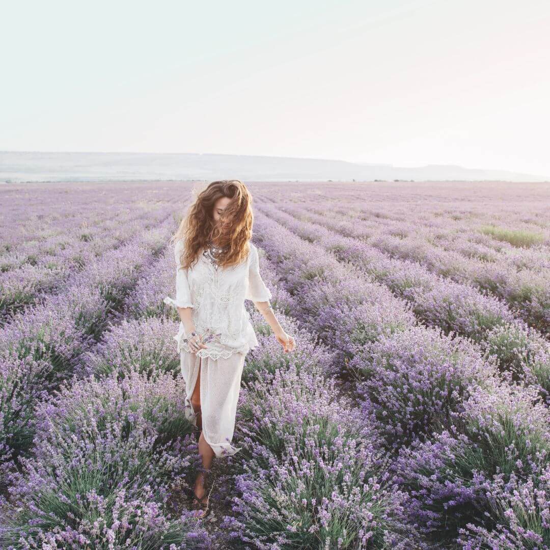 Lavendel Eterisk Olje