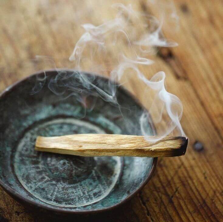 PALO SANTO