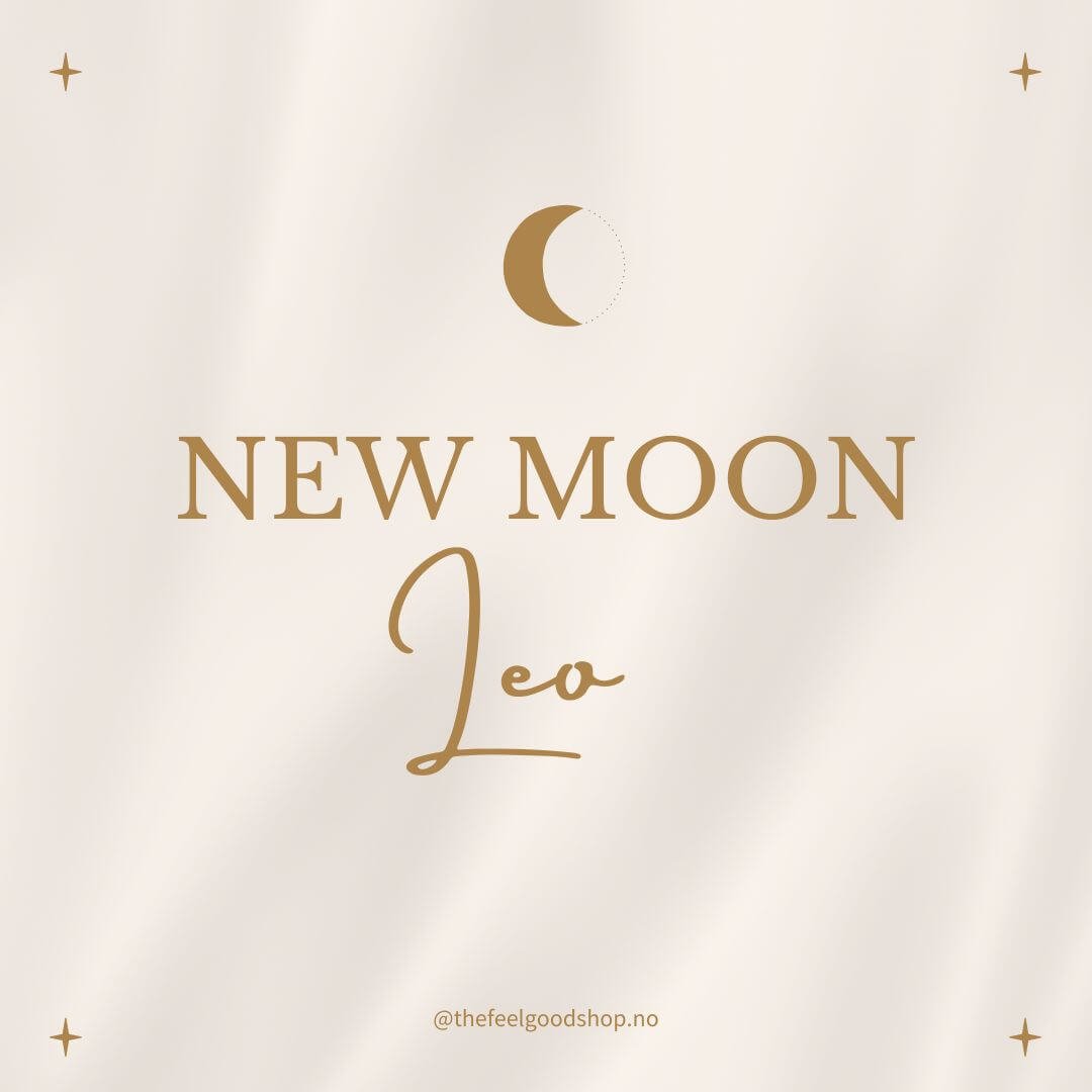 Nymåne i Løven | New Moon Leo