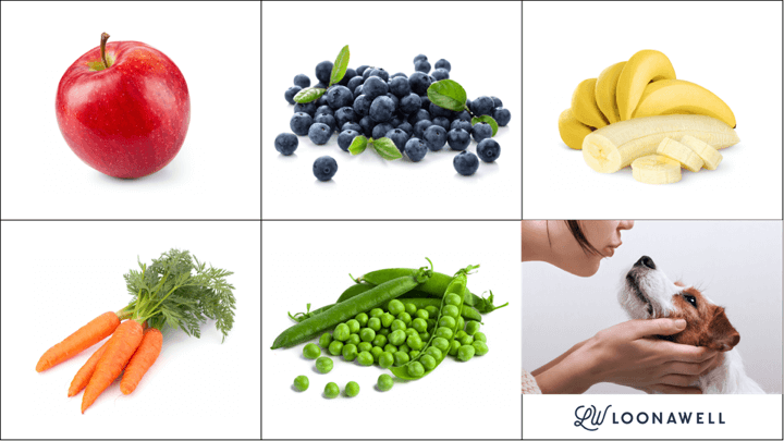 Healthy dog shop treats vegetables