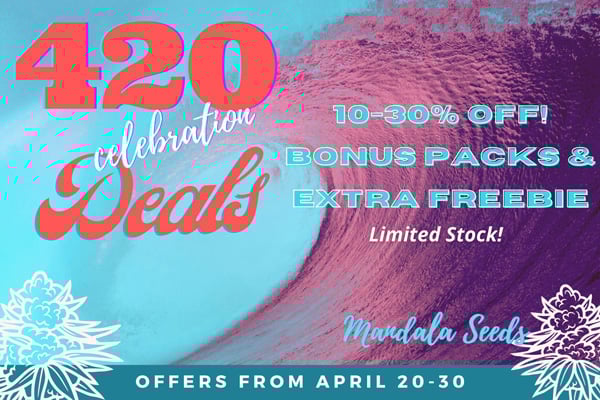 420 Sale at Mandala Seeds Shop