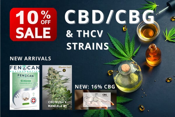 High CBD/CBG/THCV Seeds Sale