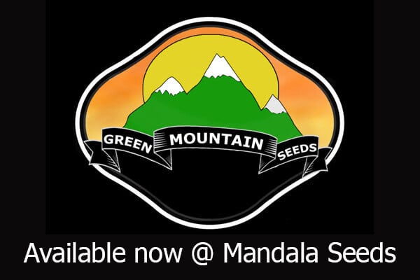 Green Mountain Seeds - Available at Mandala Seeds