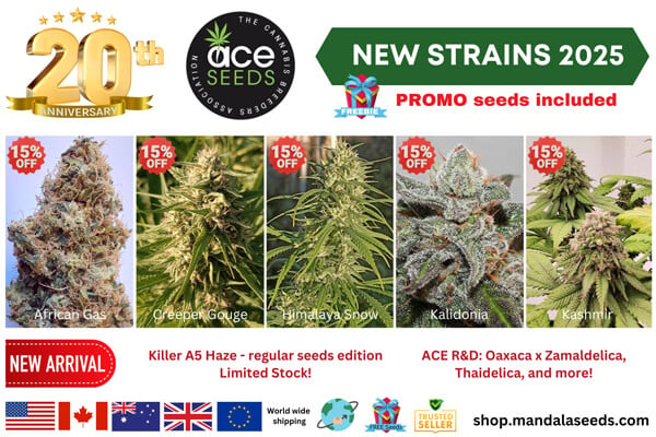 Ace Seeds New Strains 2025