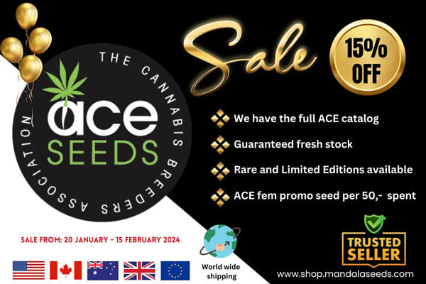 Ace Seeds Sale - We Have The Best Selection And Offers