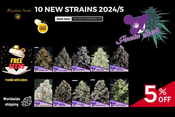 NEW Anesia Seeds Strains 2024/25