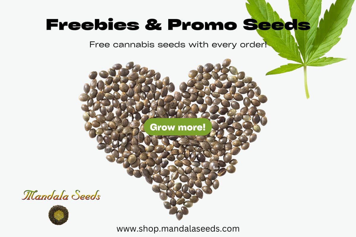 Free Seeds and Promotions at Mandala Seeds