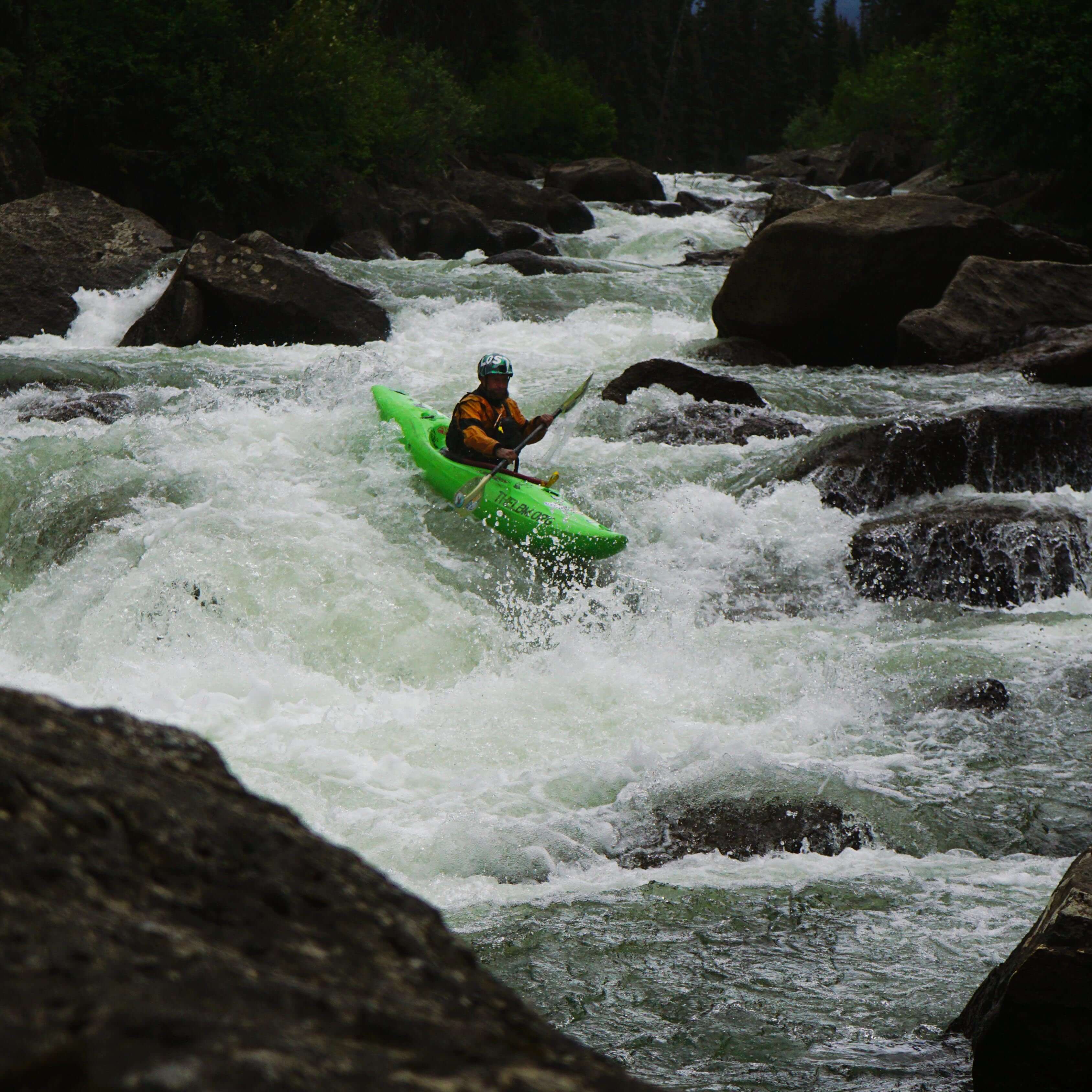 Forgetmenot Creek | Explore