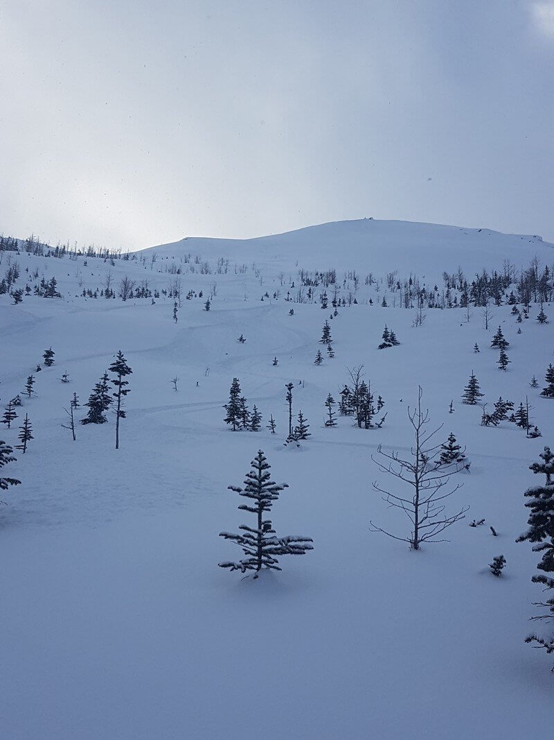 Facet Wallowing on Massive Mountain