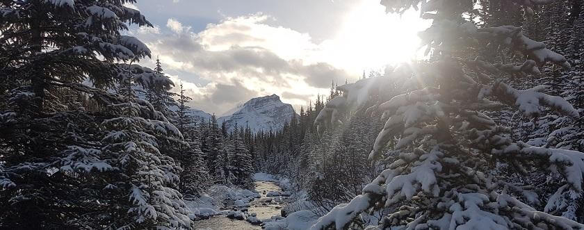 Helen Lake Trip Report - November 14th, 2016 - with video