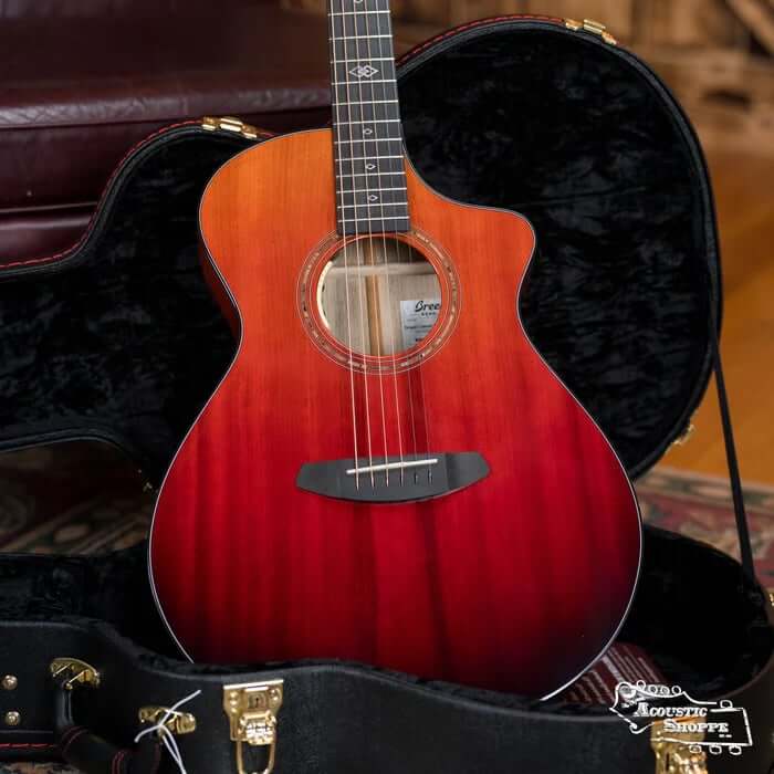 Best Professional Guitar