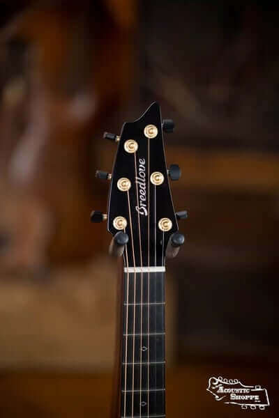 Best Professional Player Acoustic Guitar: The Breedlove Organ Series
