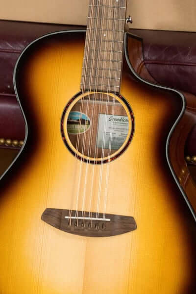 The Breedlove Discovery Series 12 String Cutaway: Concert Guitar