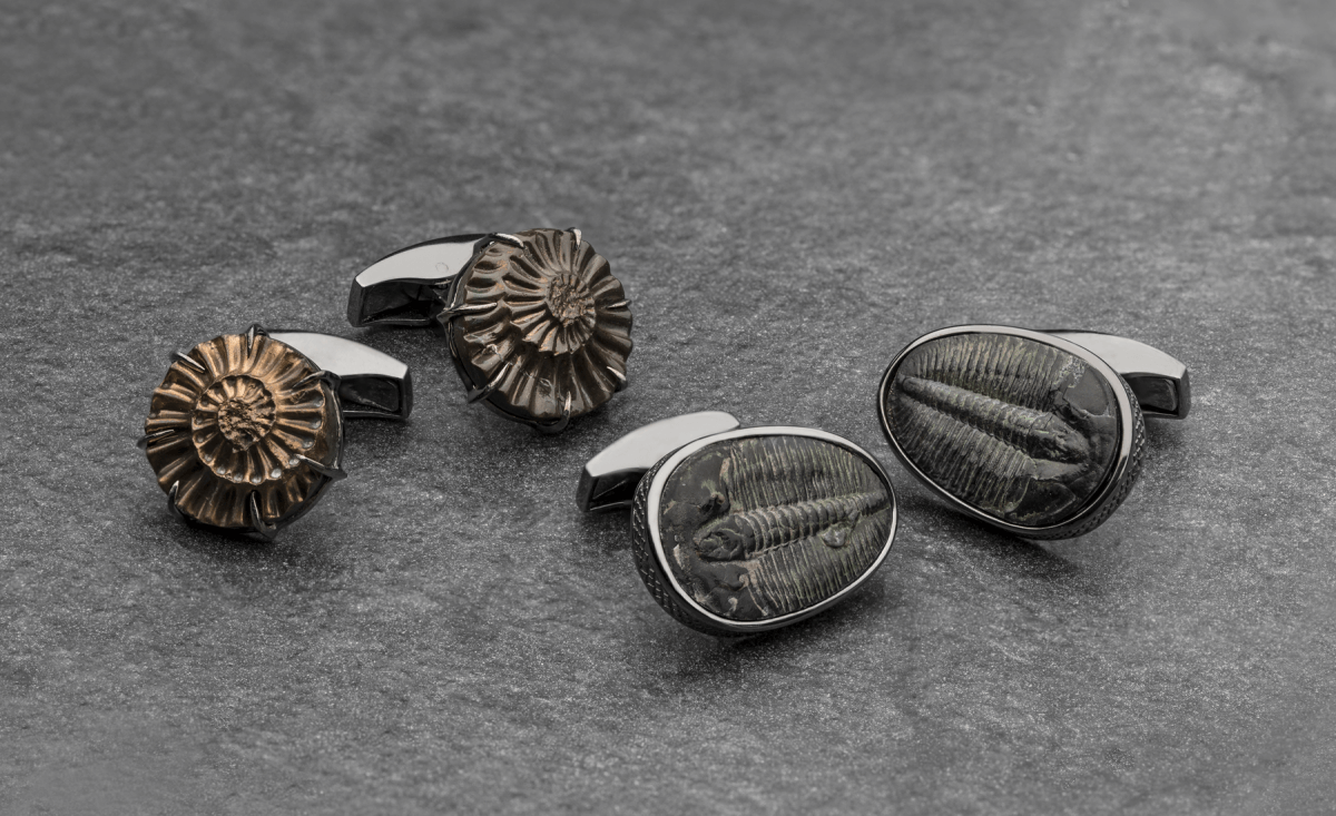 The Extinction Cufflinks