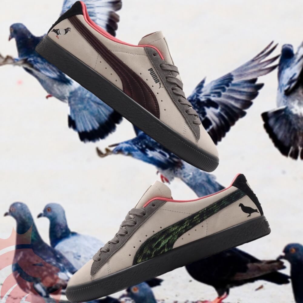 Staple x shop puma suede pigeon