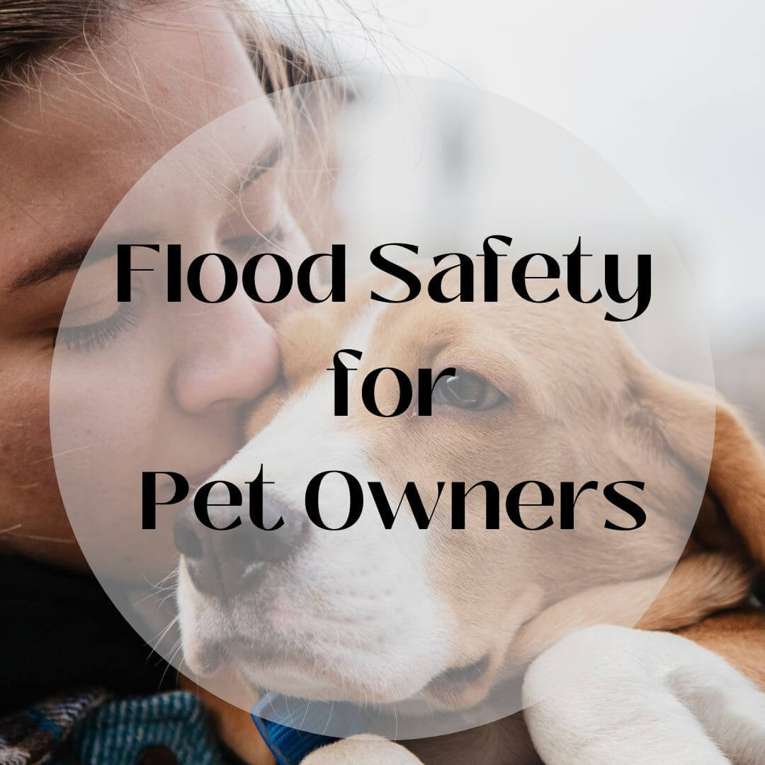 Preparing Your Pets for a Flood: Tips for Pet Owners