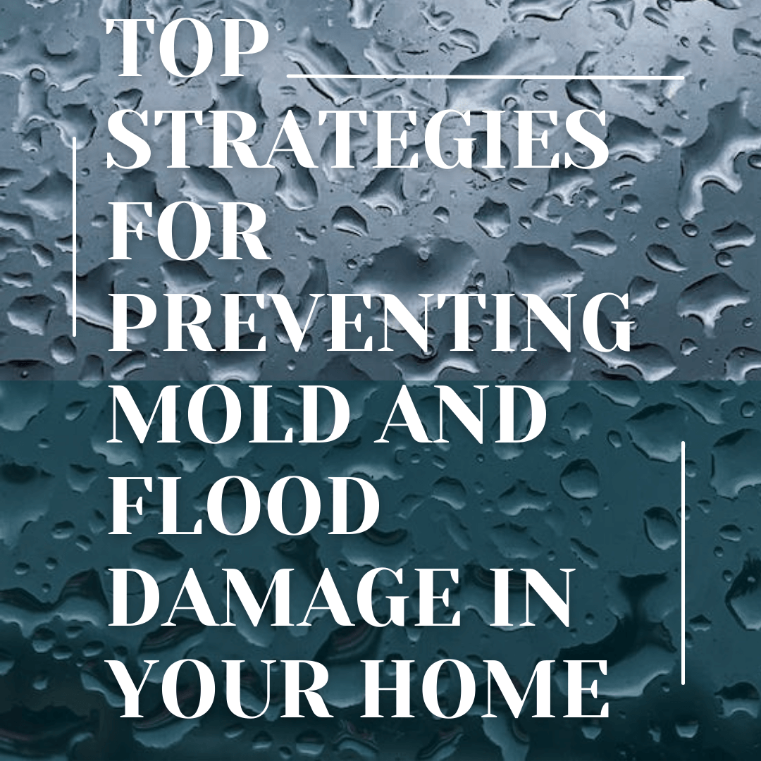Top Strategies for Preventing Mold and Flood Damage in Your Home