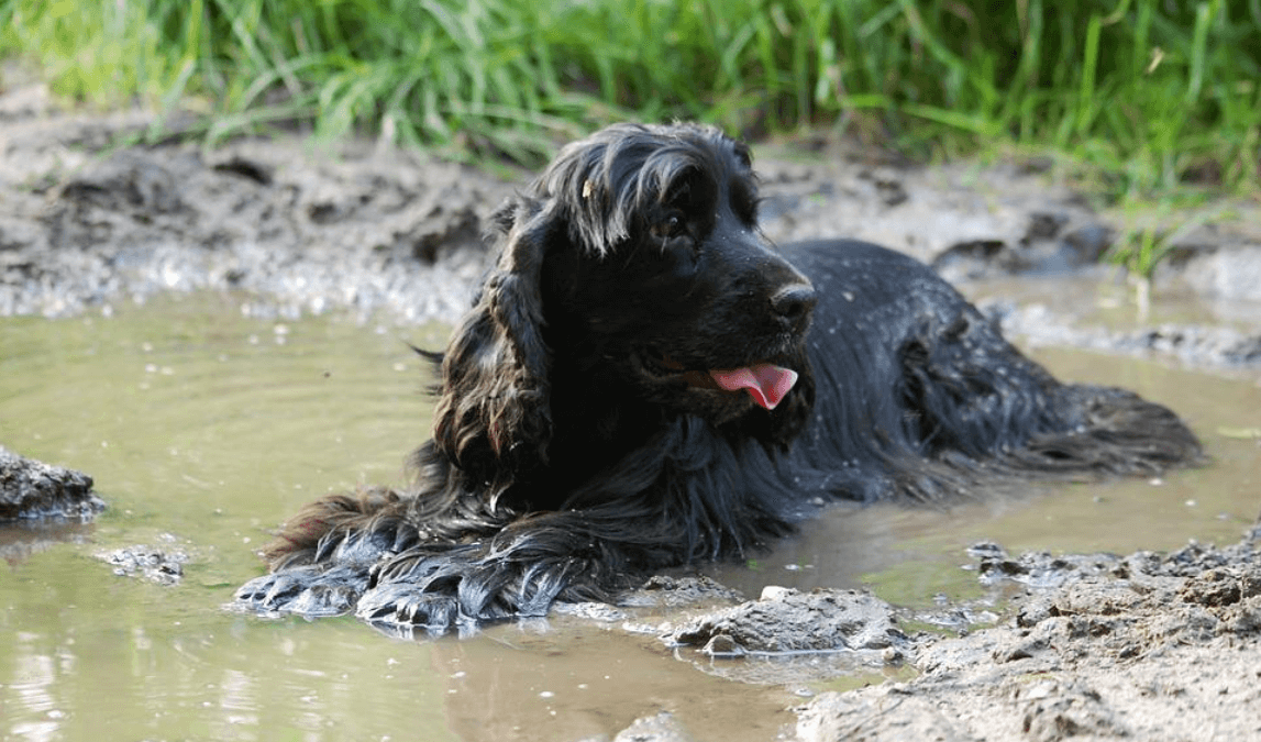 The 5 Flood dangers you didn`t know about