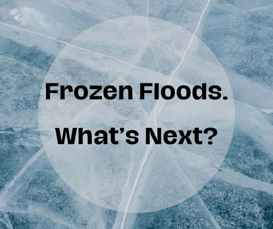 Financial Toll of Flood and Freeze and How to Save Money