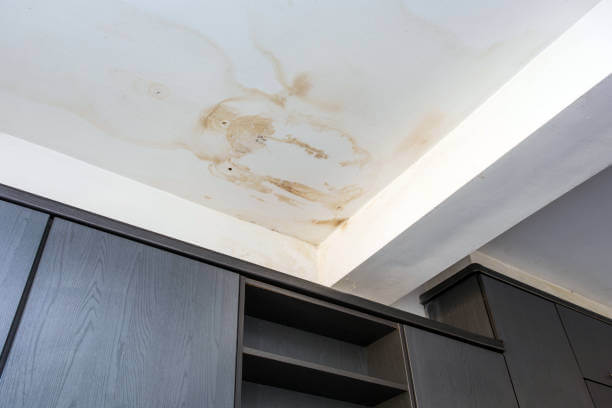 Water damage - the 3 things everyone should know