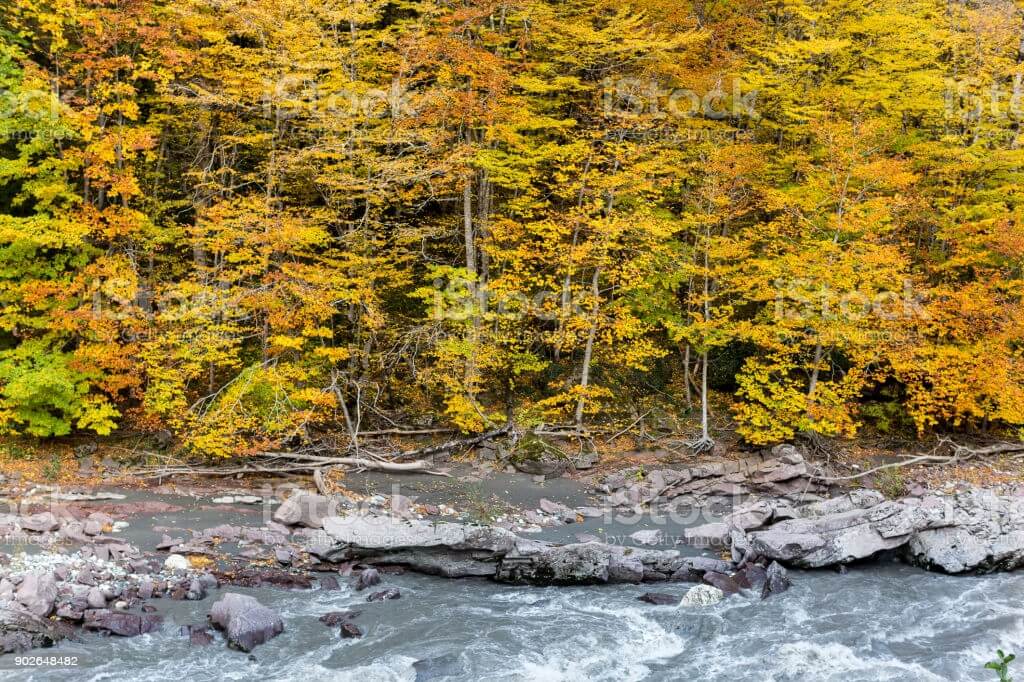 Autumn Flooding. Prepare for the upcoming flood season