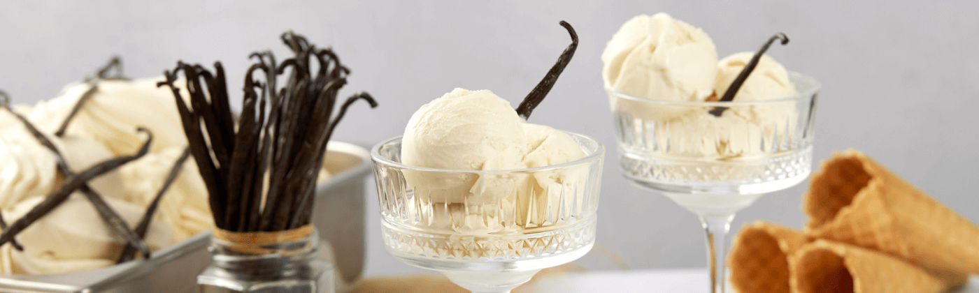 Premium vanilla ice cream