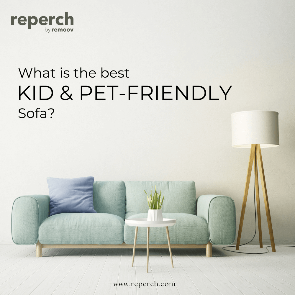 Kid and pet friendly couches sale