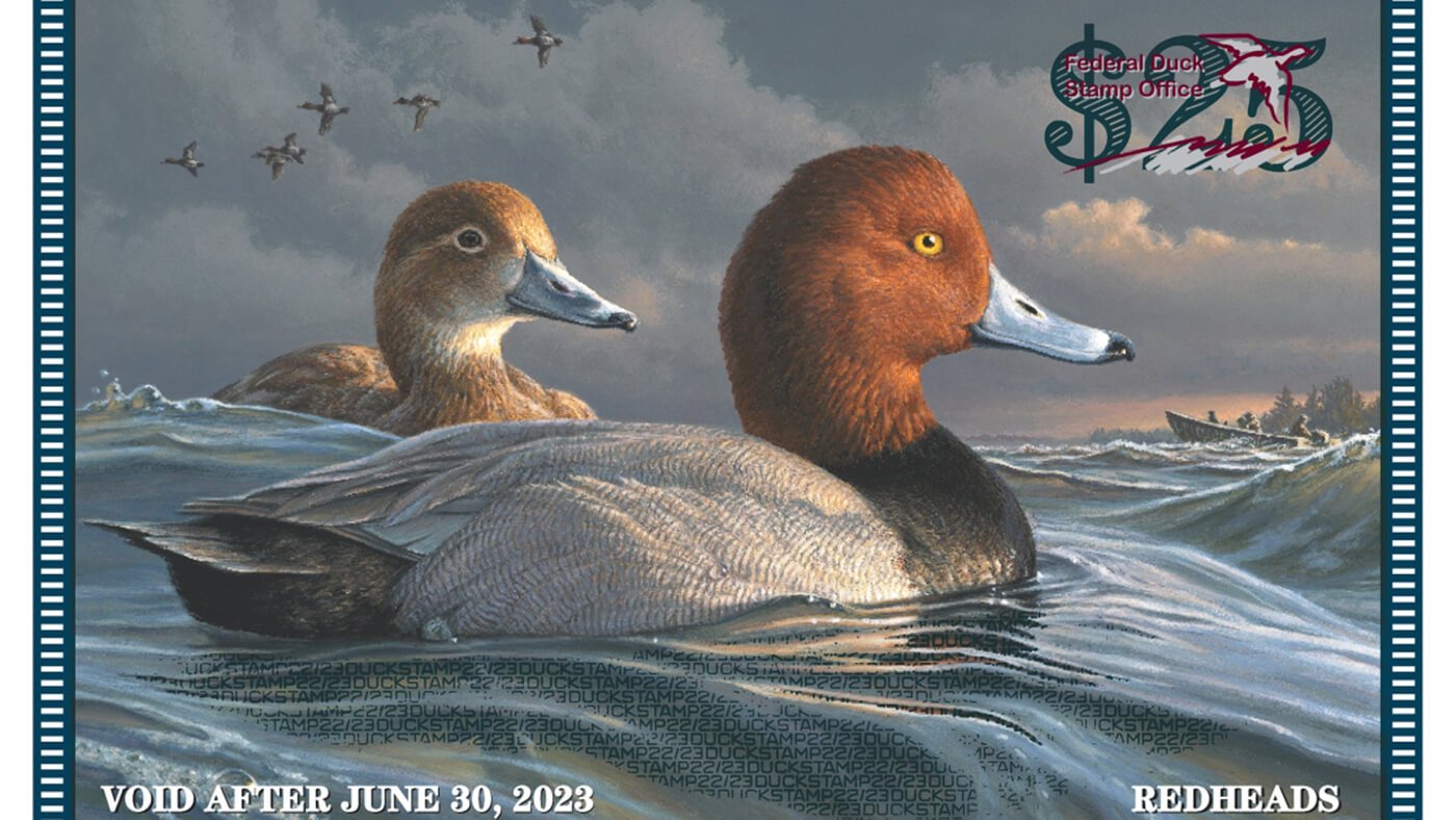 The Federal Duck Stamp 88 Years of Conservation Funding