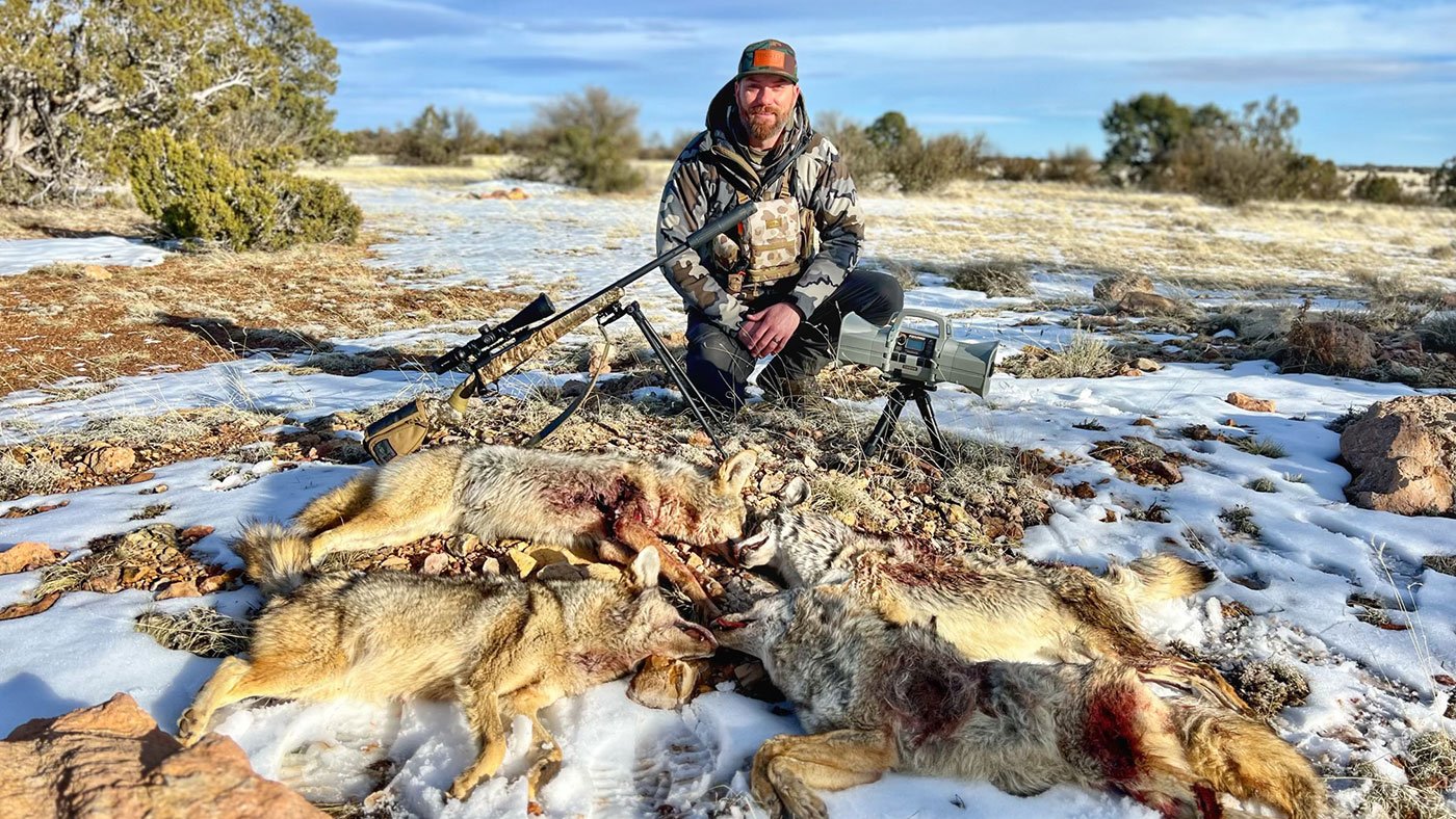 hunting coyotes in winter in arizona