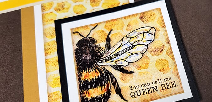 Make ten BEE-utiful cards from a project kit.