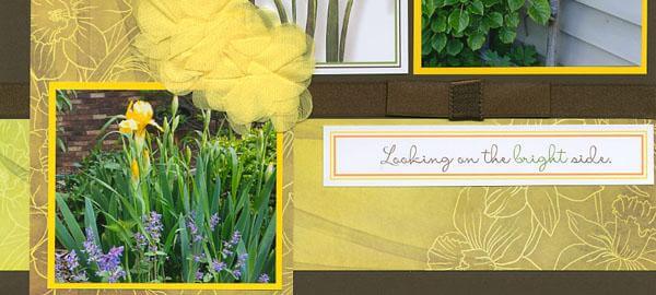 Daffodils pages - A glimpse into my garden.
