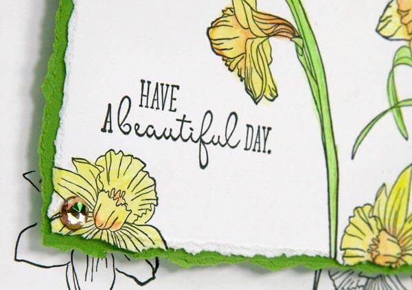 Daffodils Stamps - making cards with Kay