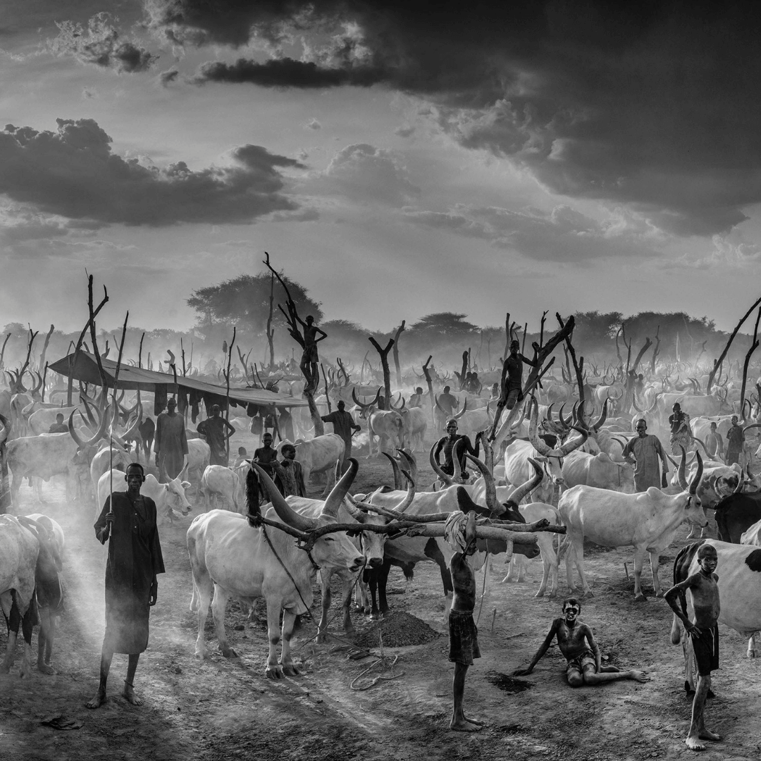 THE NEW TESTAMENT I DAVID YARROW