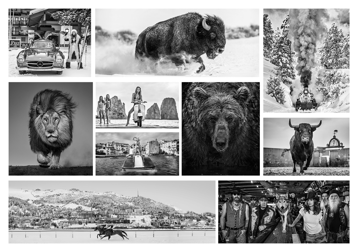 It's a Wonderful World: David Yarrow's Stunning Solo Exhibition