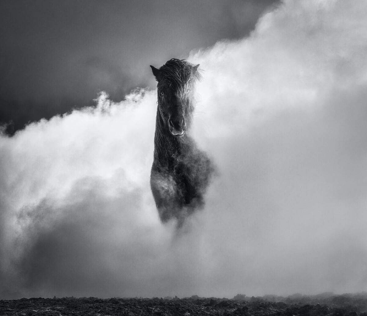 DAVID YARROW I NEW RELEASE I 66 DEGREES NORTH