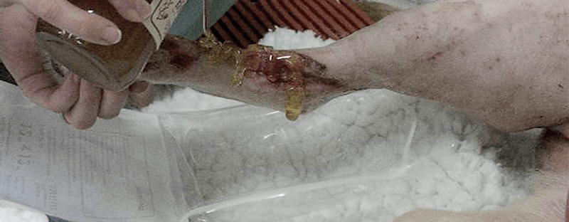 Veterinary Use of Manuka Honey