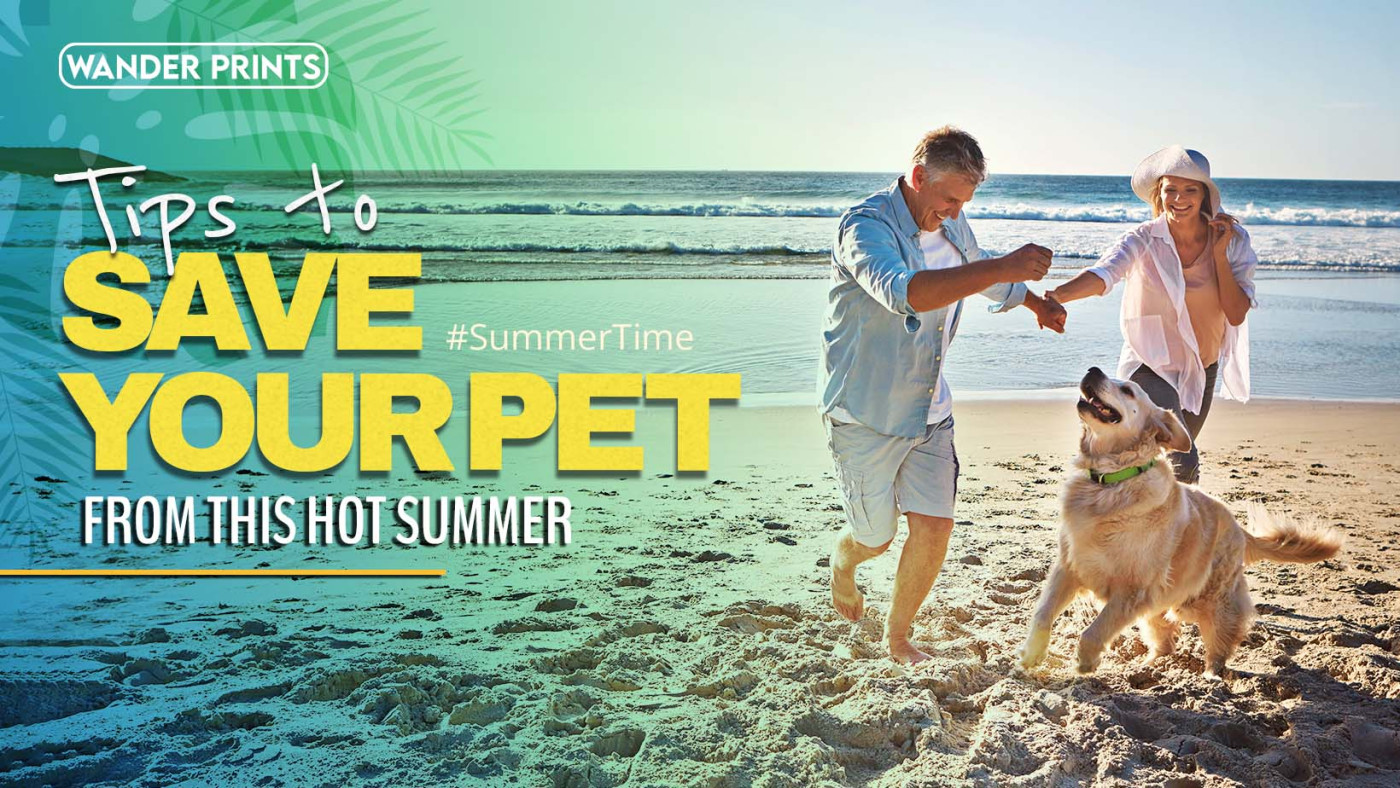 Tips to Save your Pet this Hot Summer
