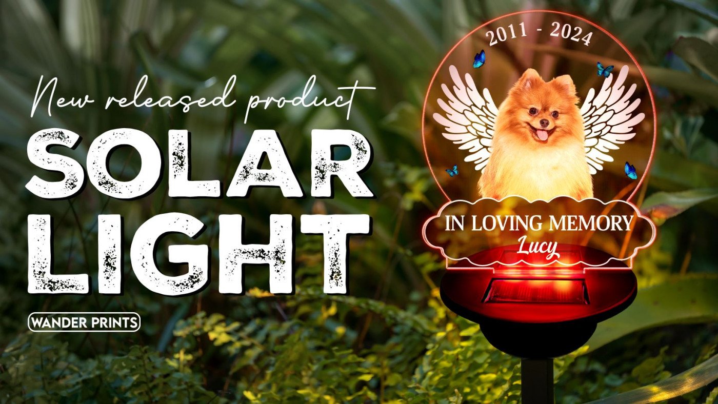 New Released Product - Solar Light