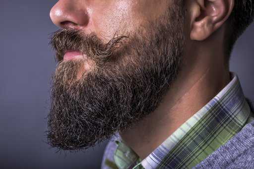 The Ducktail Beard Style: What Is It & How to Get It