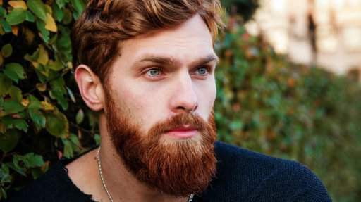 The Care And Keeping Of A Ginger Beard