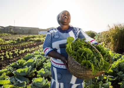 How to Celebrate 400 Hundred Years of African Heritage Cuisines in the U.S.