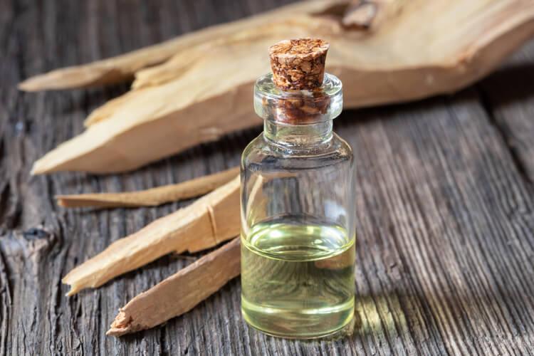 The Essential Guide to Sandalwood Fragrances for Autumn