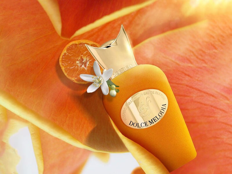 Dolce Melodia: Your Gateway to a Luxurious Citrus Paradise