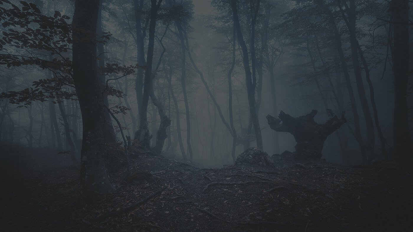 The Mysterious Monsters of Appalachia