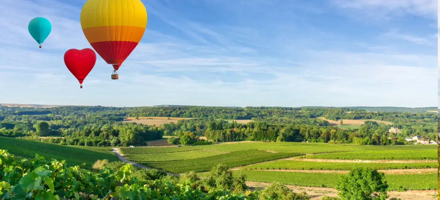 Our 10 Favorite Napa Valley Cabernet Sauvignon